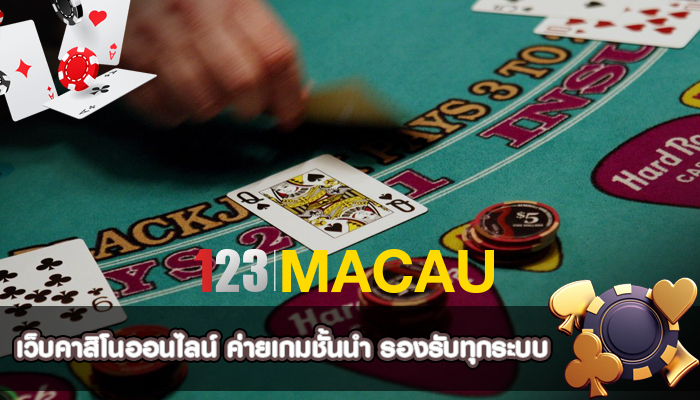 เว็บคาสิโนออนไลน์ ค่ายเกมชั้นนำ รองรับทุกระบบ
