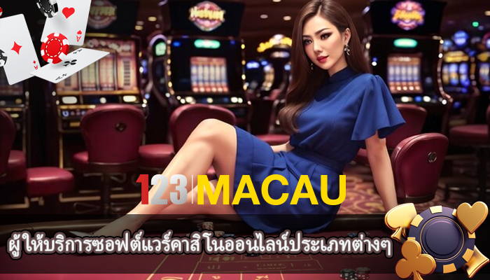 ผู้ให้บริการซอฟต์แวร์คาสิโนออนไลน์ประเภทต่างๆ