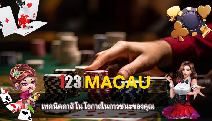 เทคนิคคาสิโน โอกาสในการชนะของคุณ