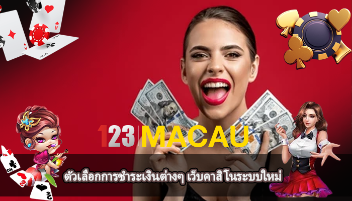 ตัวเลือกการชำระเงินต่างๆ เว็บคาสิโนระบบใหม่