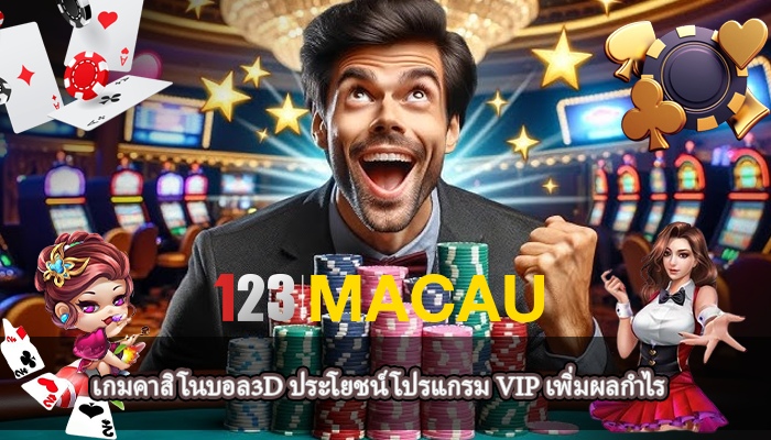 เกมคาสิโนบอล3D ประโยชน์โปรแกรม VIP เพิ่มผลกำไร